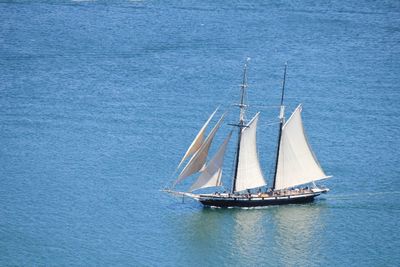 Sailboat sailing in sea