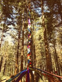 Low angle view of multi colored trees in forest