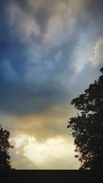 Silhouette tree against sky during sunset