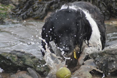 Close-up of water splashing in lake