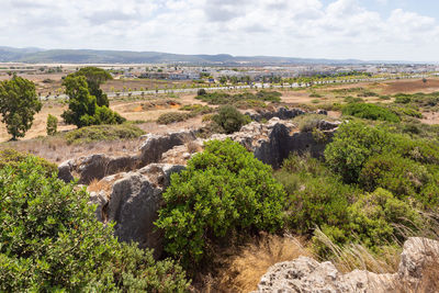 Scenic view of landscape against sky