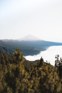 Scenic view of landscape against clear sky