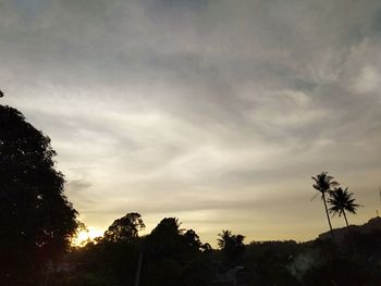 Low angle view of silhouette trees against sky during sunset