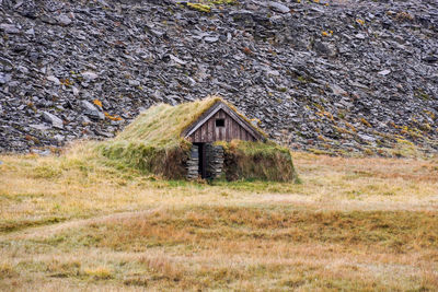 House on field