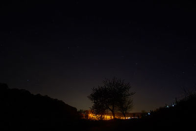 Low angle view of silhouette trees against sky at night