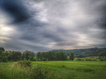 Scenic view of field against sky