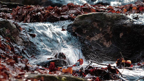 Close-up of water flowing through rocks