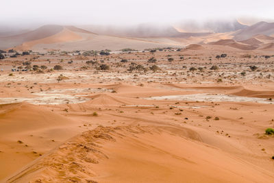 Scenic view of desert