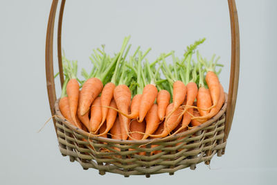 High angle view of vegetables in basket