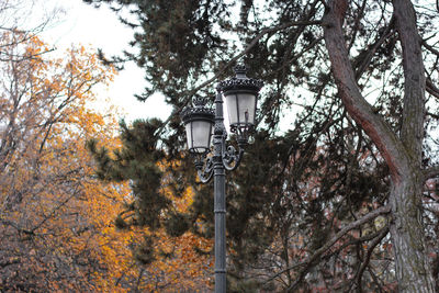 Low angle view of street light against trees