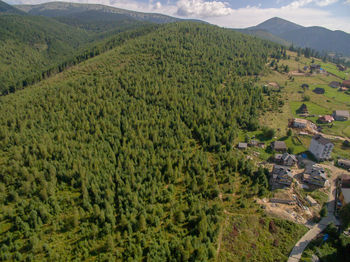 High angle view of agricultural field