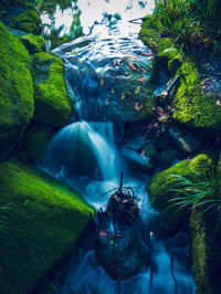 Scenic view of waterfall in forest