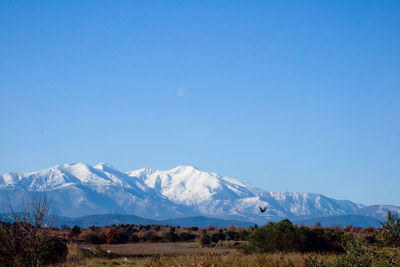 Scenic view of mountains against clear blue sky