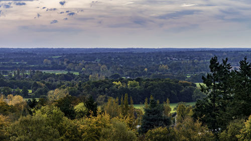 High angle view of trees on landscape against sky