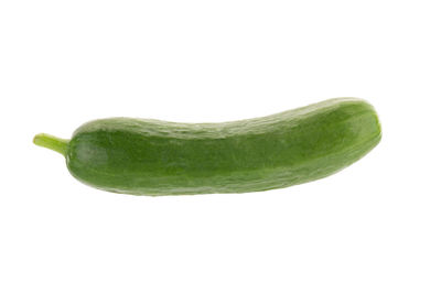 Close-up of green leaf against white background