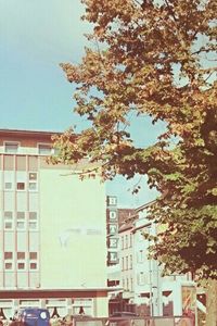 Low angle view of building against sky