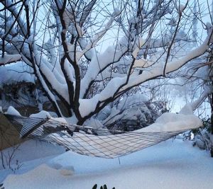 Snow covered bare tree against sky