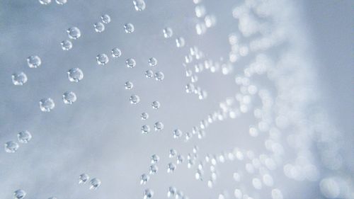 Close-up of raindrops on glass