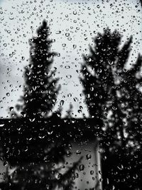 Close-up of water drops on glass