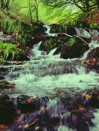 River flowing through rocks