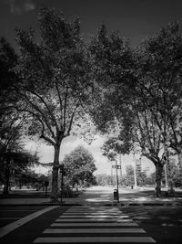 Road by trees against sky in city