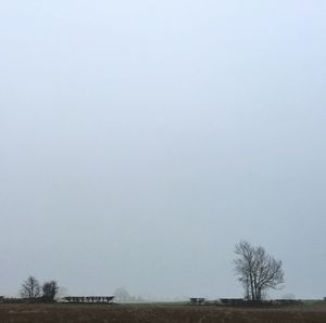 Scenic view of landscape against clear sky