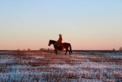 Rider at sunset