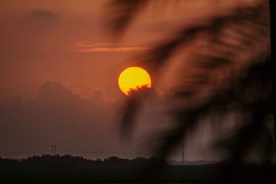 Silhouette trees against dramatic sky during sunset