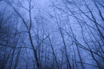 Low angle view of bare trees against blue sky