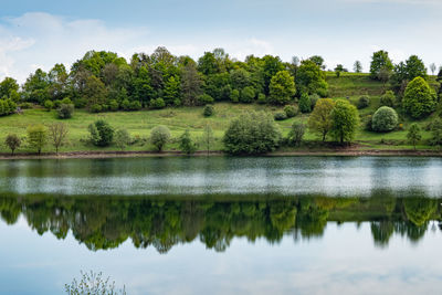 Scenic view of lake by trees against sky