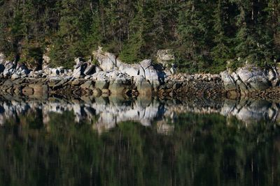 View of drinking water from a lake