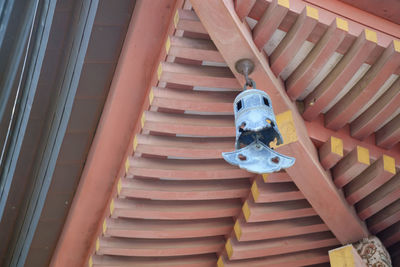 Low angle view of an animal hanging on roof