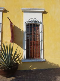 Close-up of yellow indoors