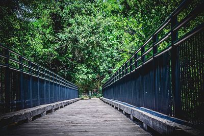 Narrow walkway in park