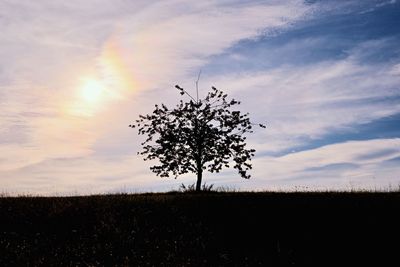 sky