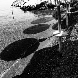 Shadow of trees on the wall