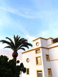 Low angle view of palm tree against sky