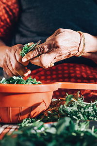 Midsection of woman cutting vegetables at home