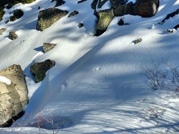 Close-up of stones o snow