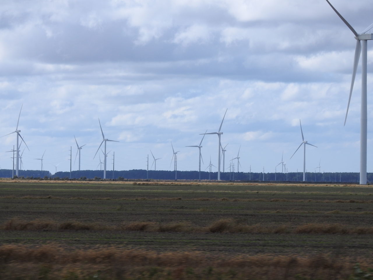 WIND TURBINES IN FIELD AGAINST SKY