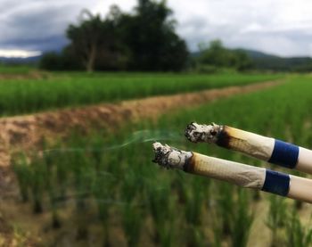 Man holding stick on field