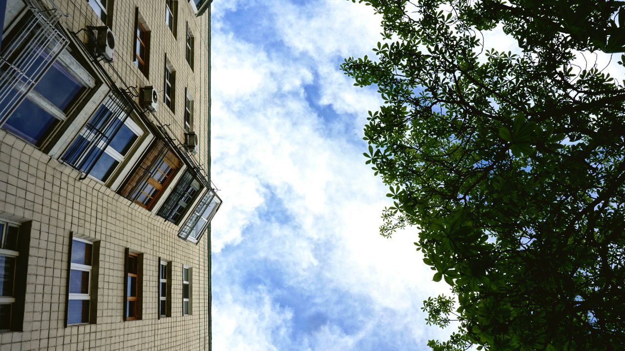 low angle view, building exterior, architecture, built structure, sky, tree, cloud - sky, cloudy, cloud, building, city, window, day, residential building, outdoors, modern, no people, growth, residential structure, office building