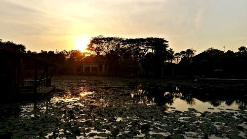 Silhouette trees by lake against sky during sunset