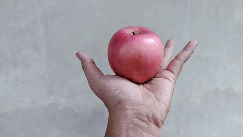 Close-up of hand holding apple