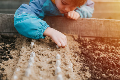 Spring planting seeding farm garden. little kid boy farmer gardener plants sow vegetable seeds soil