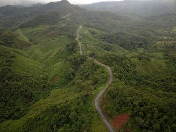 Countryside road passing through the lush green tropical rain forest mountain landscape