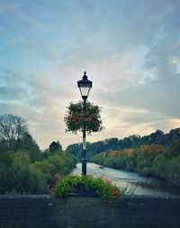 Street light by trees against sky