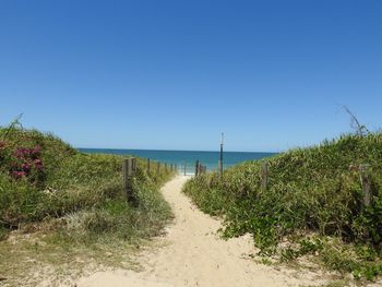 View of calm beach against clear blue sky