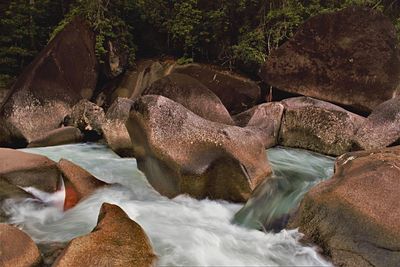 Rocks in river by trees in forest
