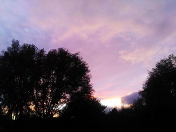 Low angle view of silhouette trees against sky during sunset